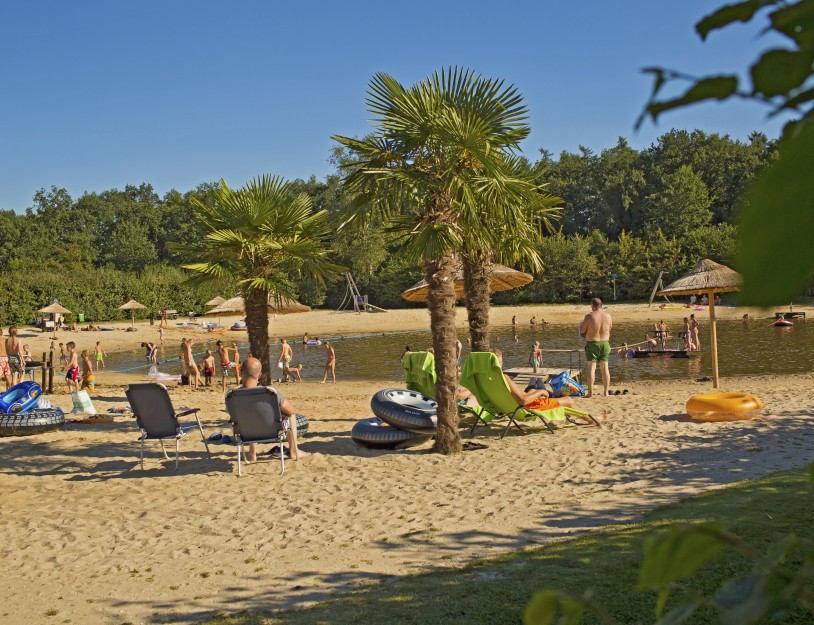 Playa - Palmbomen (large edit).jpg