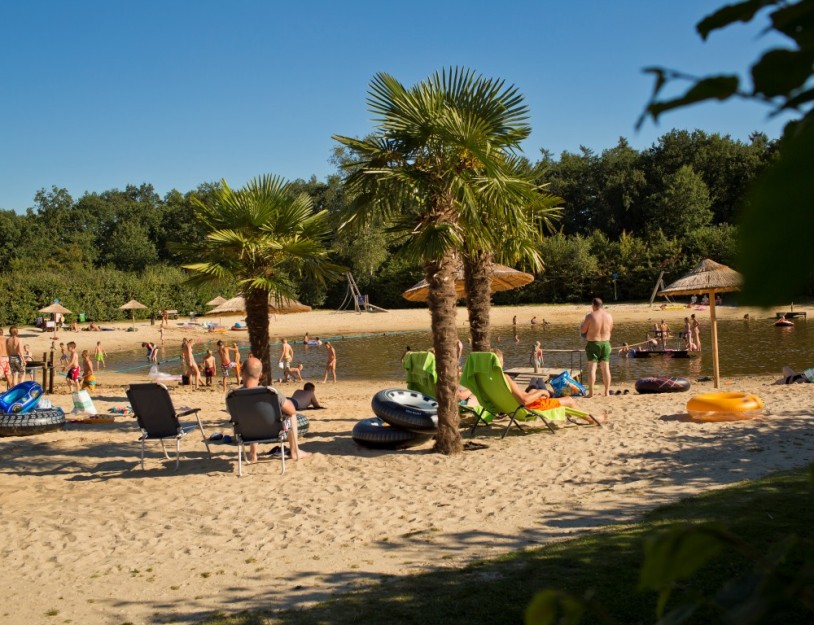 Playa - Palmbomen (medium).jpg