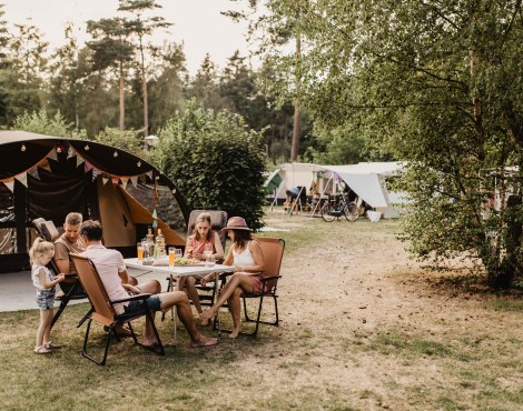 Camping-de-kleine-wolf-kamperen-gezelligheid-overzicht.jpg