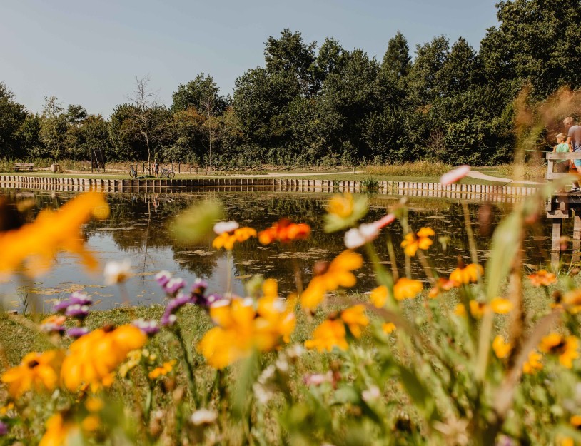 Camping-de-kleine-wolf-faciliteit-visvijver-vader-zoon-bloemenweide.jpg