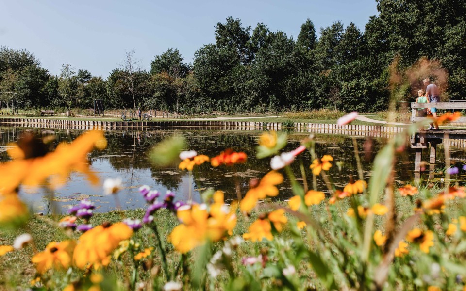 Camping-de-kleine-wolf-faciliteit-visvijver-vader-zoon-bloemenweide 2.jpg