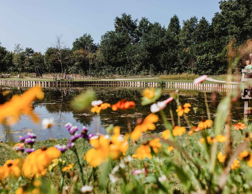 Camping-de-kleine-wolf-faciliteit-visvijver-vader-zoon-bloemenweide 2.jpg