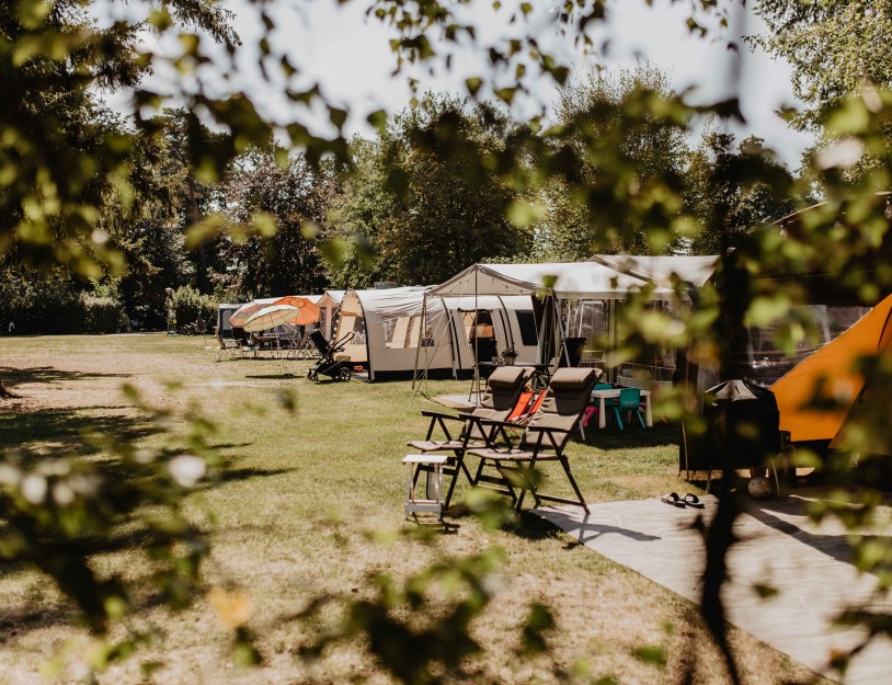 Camping-de-kleine-wolf-kamperen-fazant.jpg