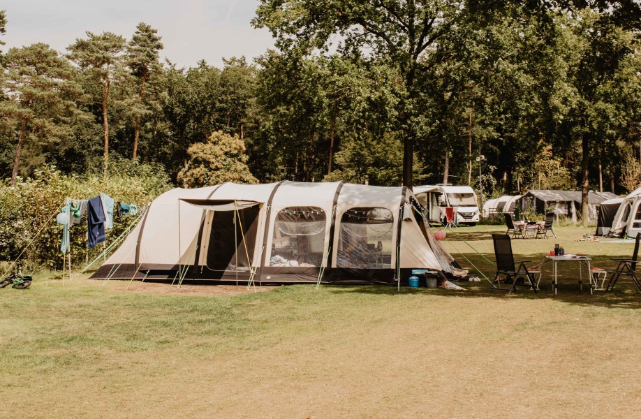 Camping-de-kleine-wolf-kamperen-veld-specht.jpg