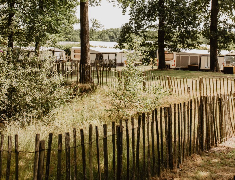 Camping-de-kleine-wolf-kamperen-kampeerveld-bosuil.jpg