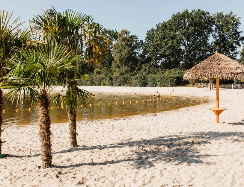 Camping-de-kleine-wolf-faciliteit-zandstrand-palmbomen-parasol.jpg
