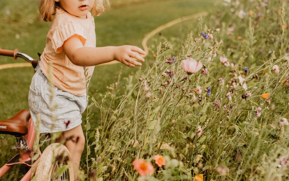 Camping-de-kleine-wolf-faciliteit-bloemenweide-meisjes-kijkt-bloem.jpg