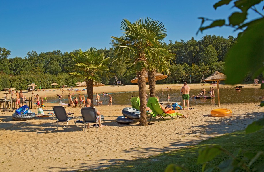 Playa - Palmbomen (large edit)(klein).jpg