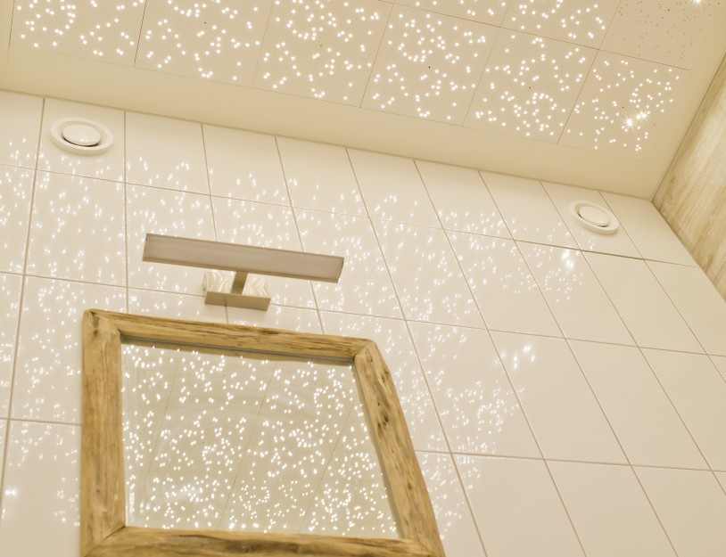 Sanitair - Specht sterrenhemel met spiegel (large).jpg