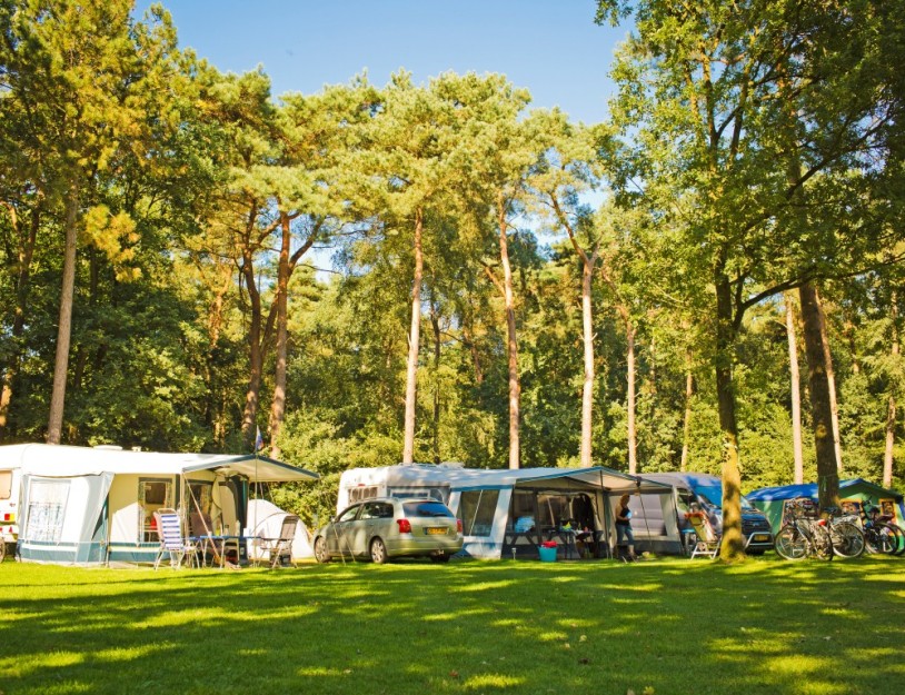 Kampeerveld Torenvalk - caravans (medium).jpg