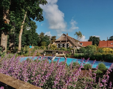 Camping-De-Kleine-Wolf-Accommodatie-Boerderijbeetje.jpg