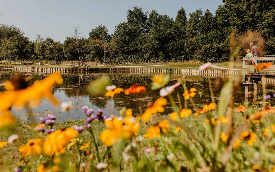 Camping-de-kleine-wolf-faciliteit-visvijver-vader-zoon-bloemenweide.jpg