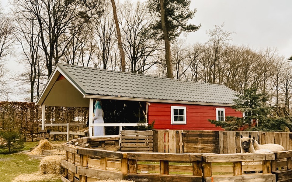 WhatsApp Image 2023-12-18 at 13.36.01 (5).jpg