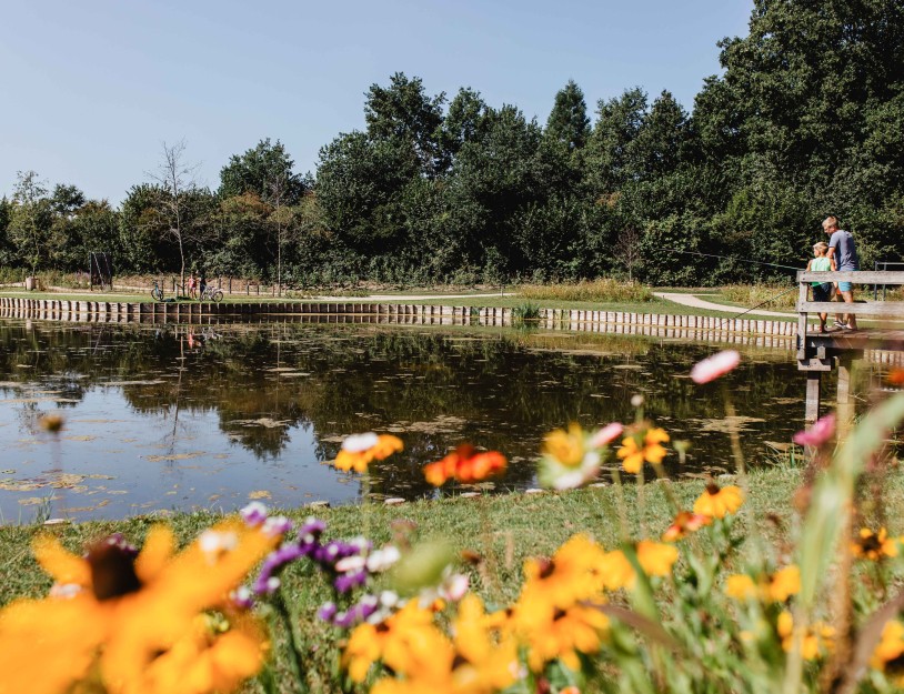 Camping-de-kleine-wolf-faciliteit-visvijver-vader-zoon-overzicht.jpg