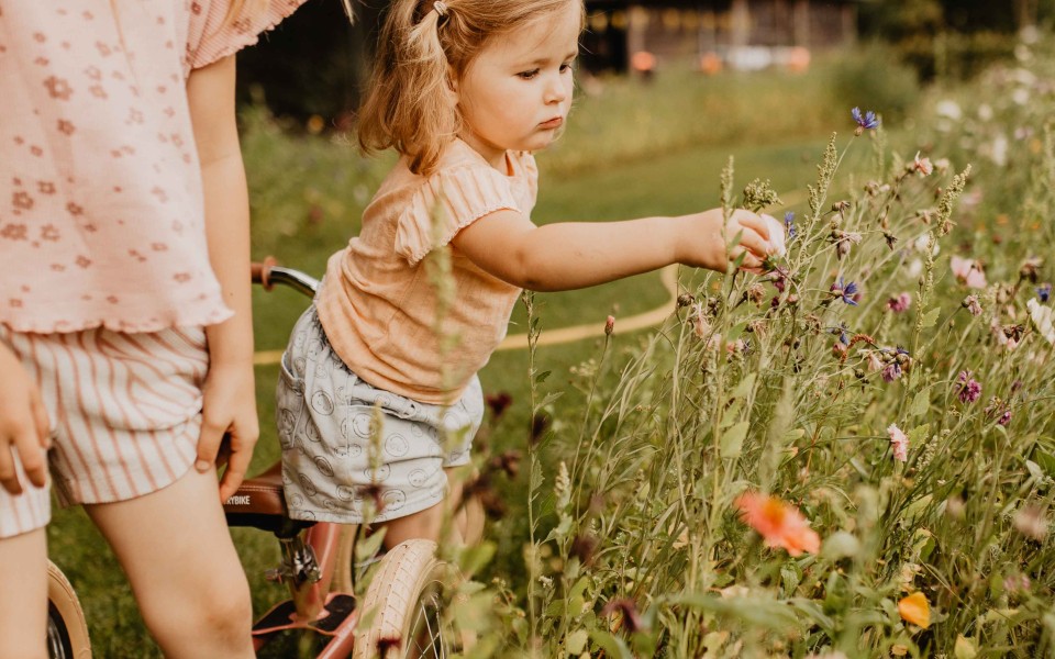 Camping-de-kleine-wolf-faciliteit-bloemenweide-meisjes-plukt-bloem.jpg