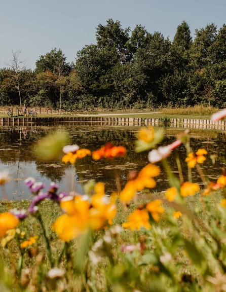 Camping-de-kleine-wolf-faciliteit-visvijver-vader-zoon-bloemenweide.jpg