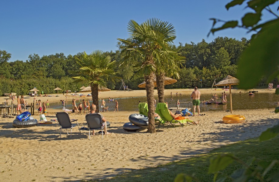 Playa - Palmbomen (large edit).jpg