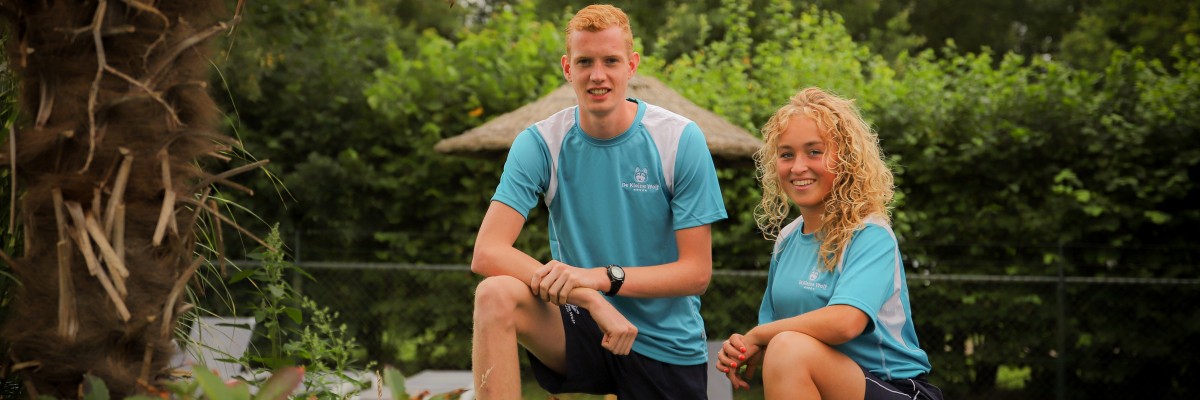 zwembad palmboom samen 1