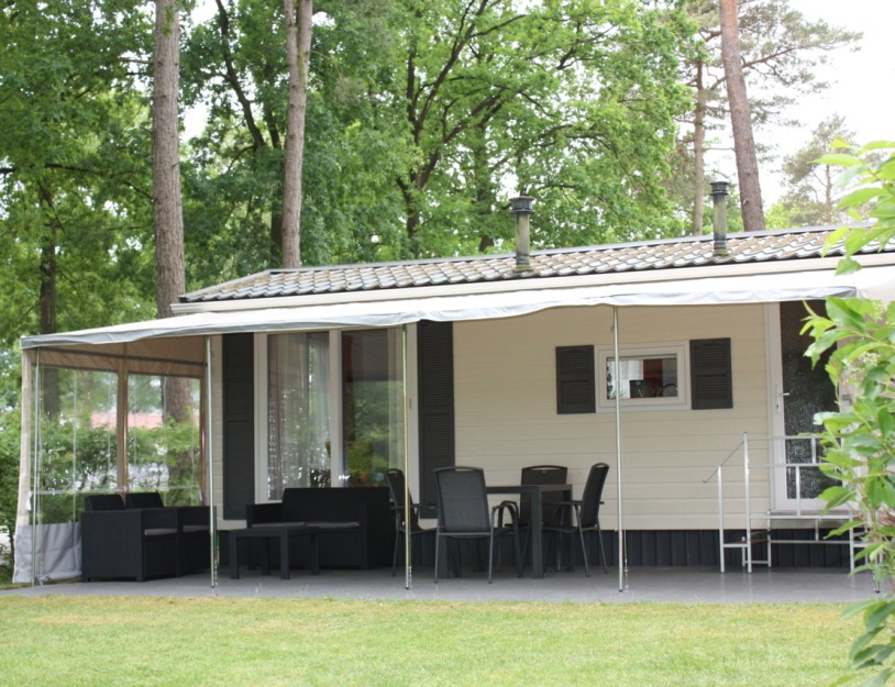 130-Buizerd - buitenfoto.jpg