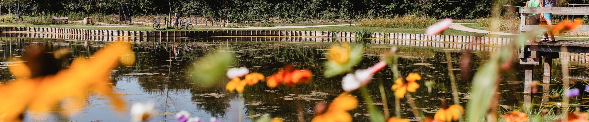 Camping-de-kleine-wolf-faciliteit-visvijver-vader-zoon-bloemenweide 2.jpg