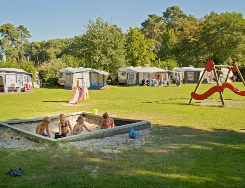 Kampeerveld Fazant - Zandbak (medium).jpg
