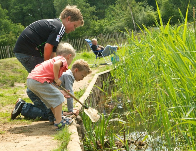 116-Visvijver - kinderen.jpg
