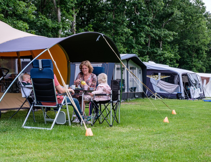 Fazant gezin tent