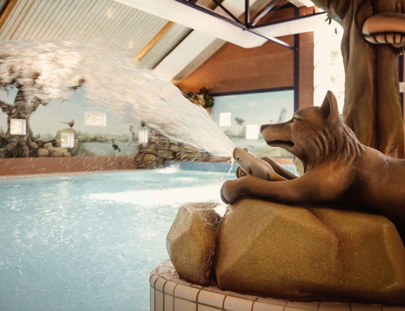 Camping-de-kleine-wolf-faciliteit-zwembad-binnenbad-detail-wolf.jpg