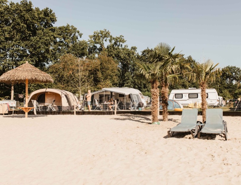 camping-de-kleine-wolf-kamperen-aan-water-flamingo.jpg