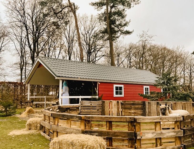 WhatsApp Image 2023-12-18 at 13.36.01 (5).jpg