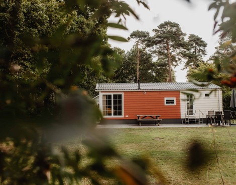 Camping-de-kleine-wolf-accommodatie-bosrand-4.jpg
