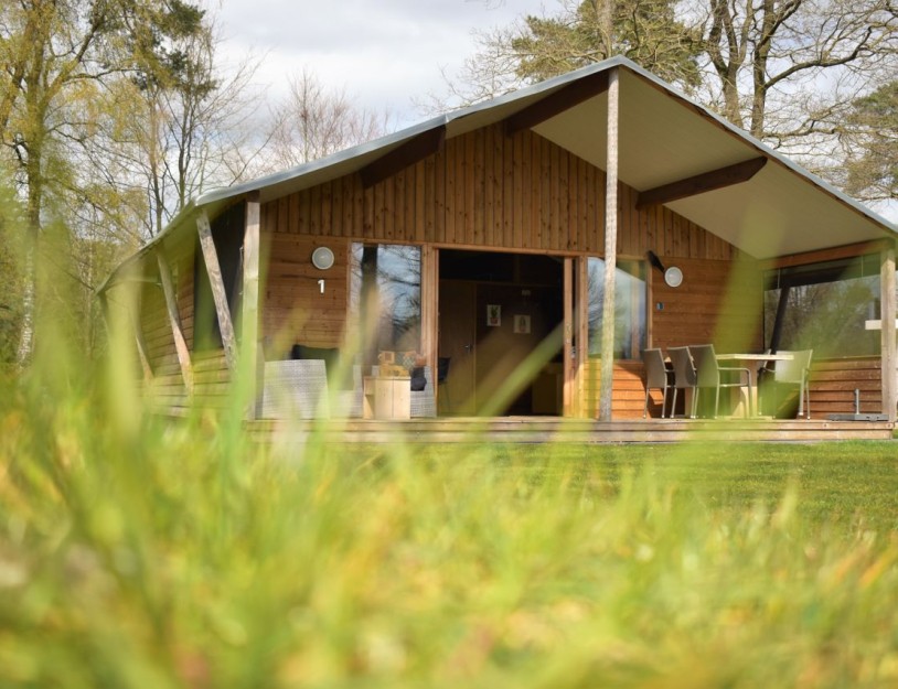 1747-DSC_0906 bewerkt (1).jpg