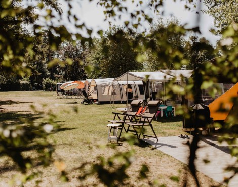 Camping-de-kleine-wolf-kamperen-fazant.jpg