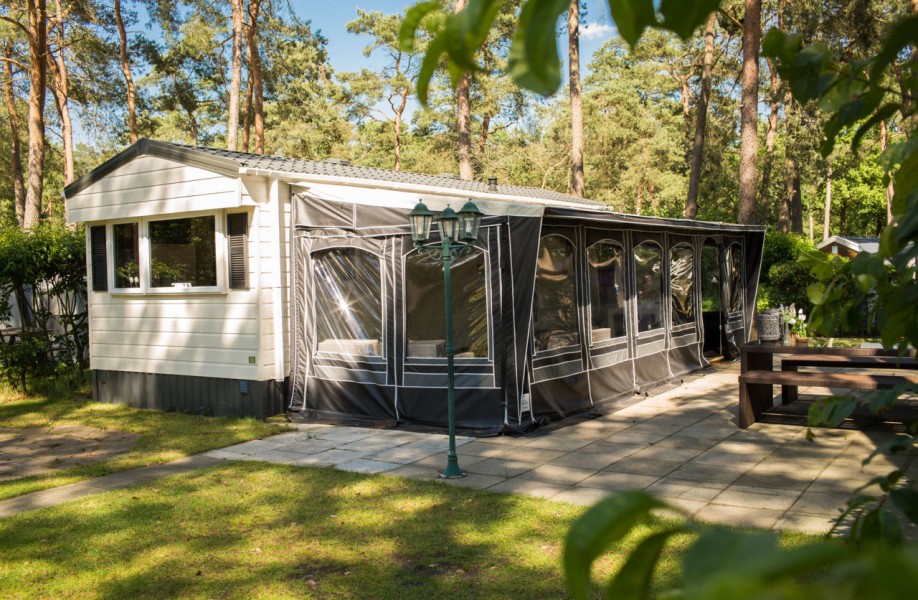 Chalet de Buizerd in Nederland