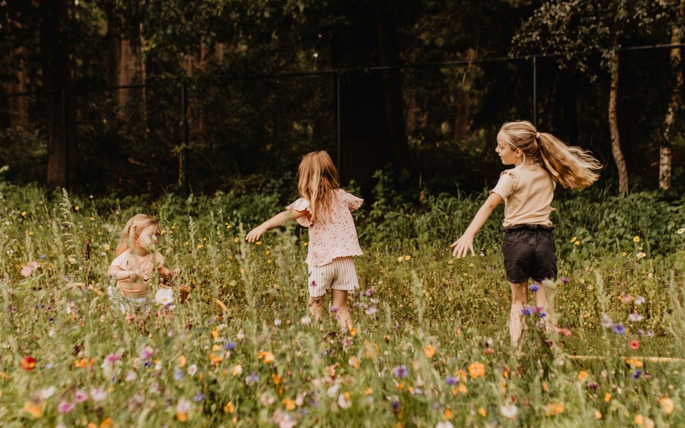 Camping-de-kleine-wolf-faciliteit-bloemenweide-meisjes-dansen.jpg