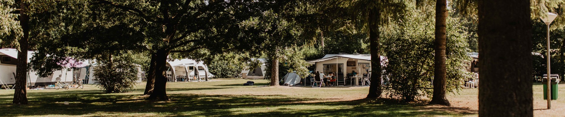 Camping-de-kleine-wolf-kamperen-fazant-schaduw.jpg