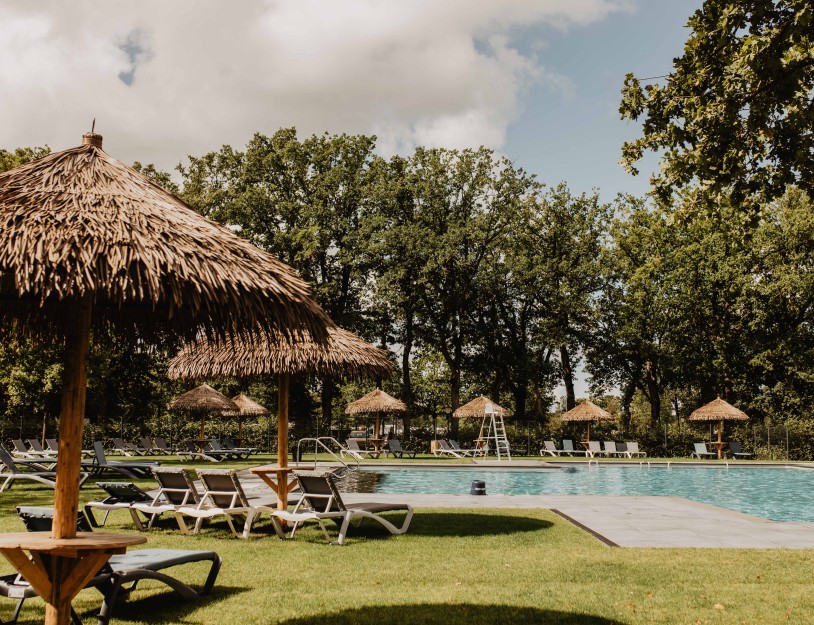 Camping-de-kleine-wolf-faciliteit-zwembad-buitenzwembad-ligbedden-3.jpg