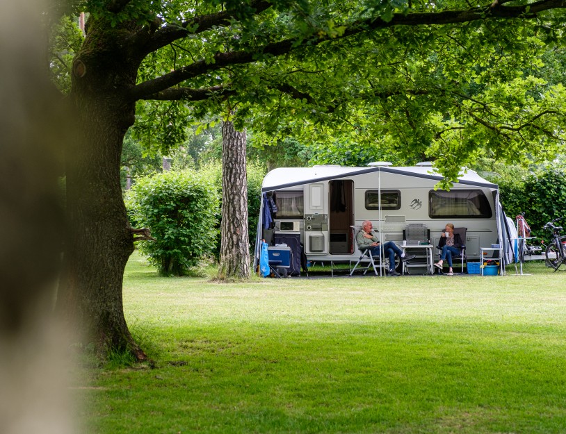 Camping De Kleine Wolf - Kampeerplek