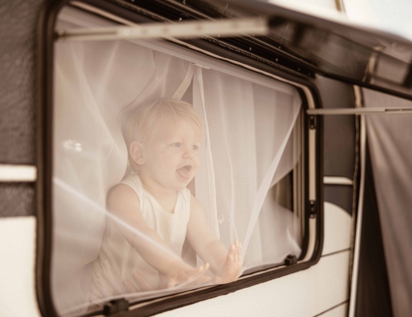 Camping-de-kleine-wolf-kamperen-baby-raam.jpg
