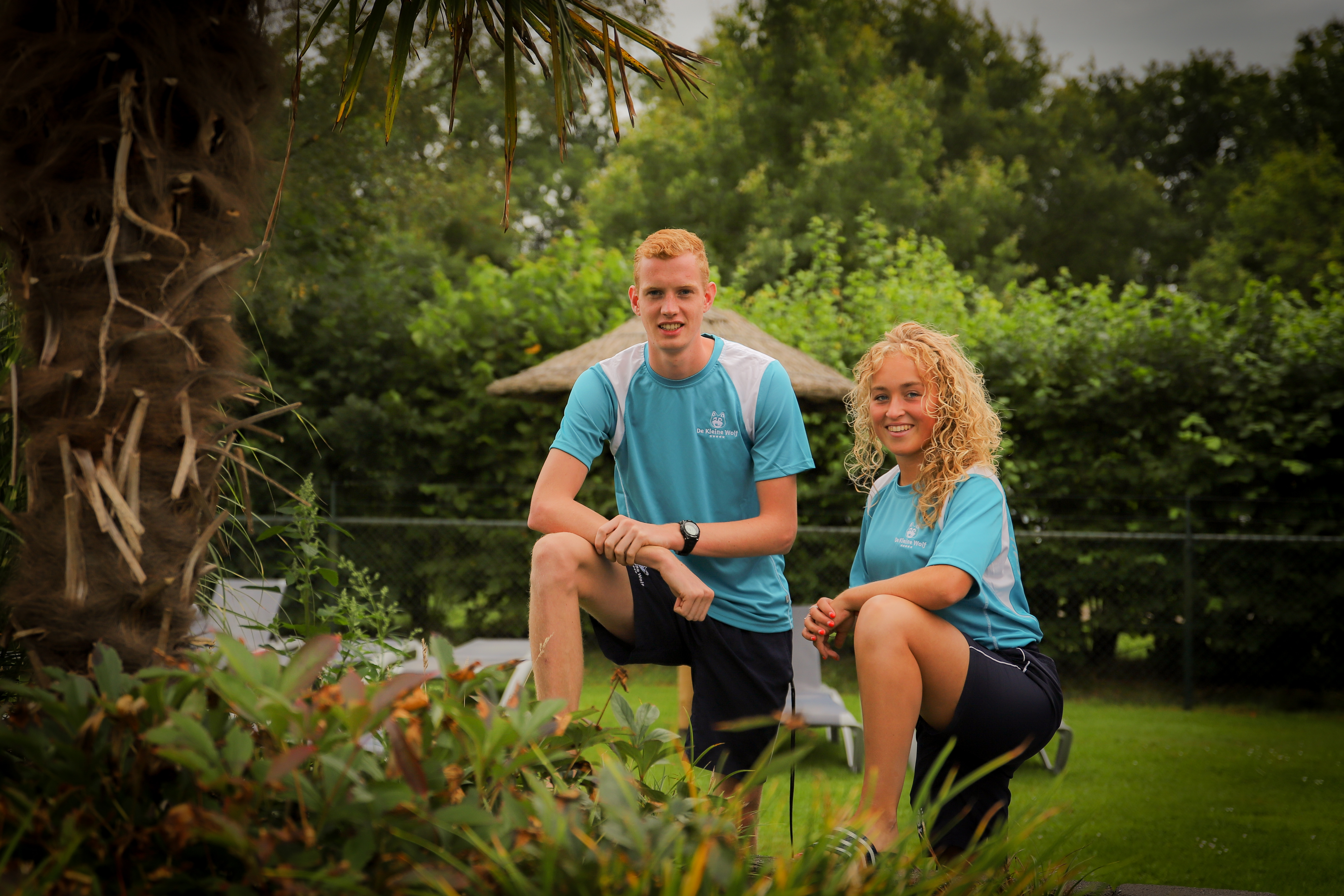 zwembad palmboom samen 1