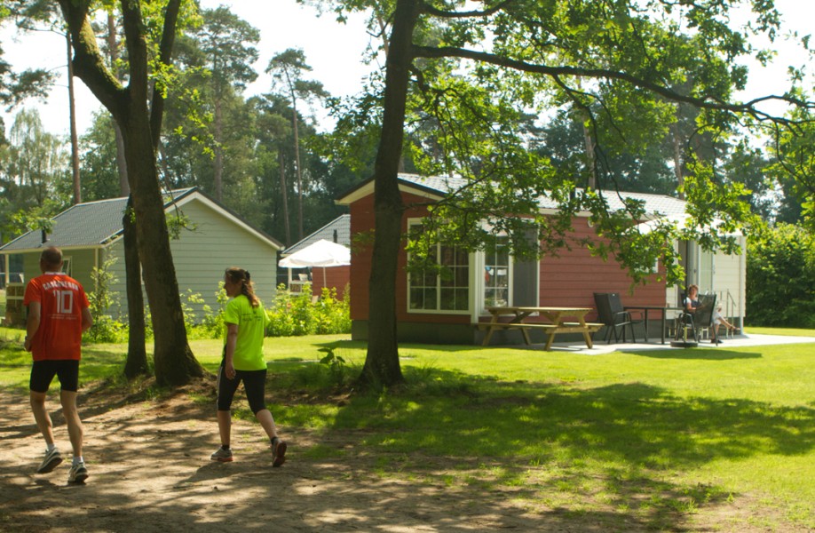 Chalet Bosrand in Nederland