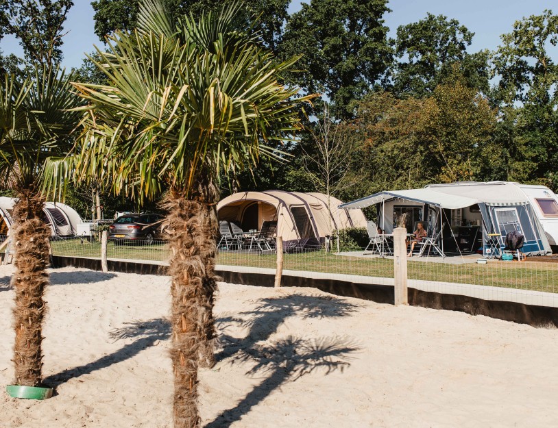 Camping-de-kleine-wolf-kamperen-aan-zandstrand.jpg