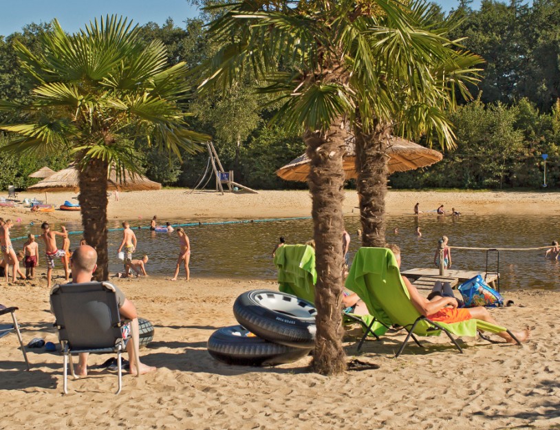396-header_strand-1.jpg